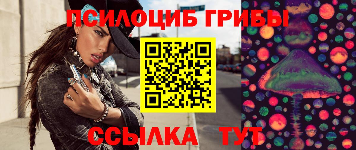 Галлюциногенные грибы MAGIC MUSHROOMS  Вход с VPN  Вязники 
